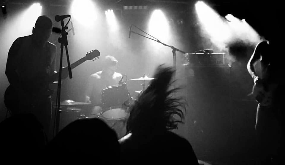 Playlist: Hair of the Dog