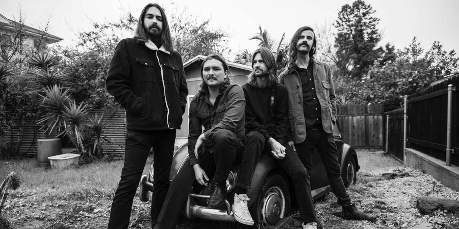 TGF Spotlight: Monarch