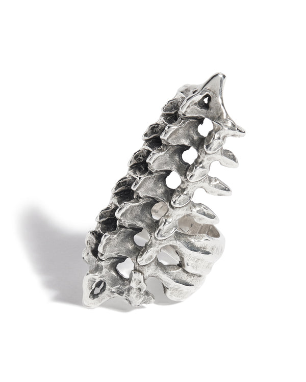 Vertebrae Ring