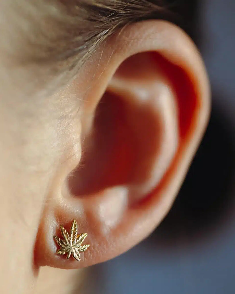 9ct Gold Sweet Leaf Studs (not pair)