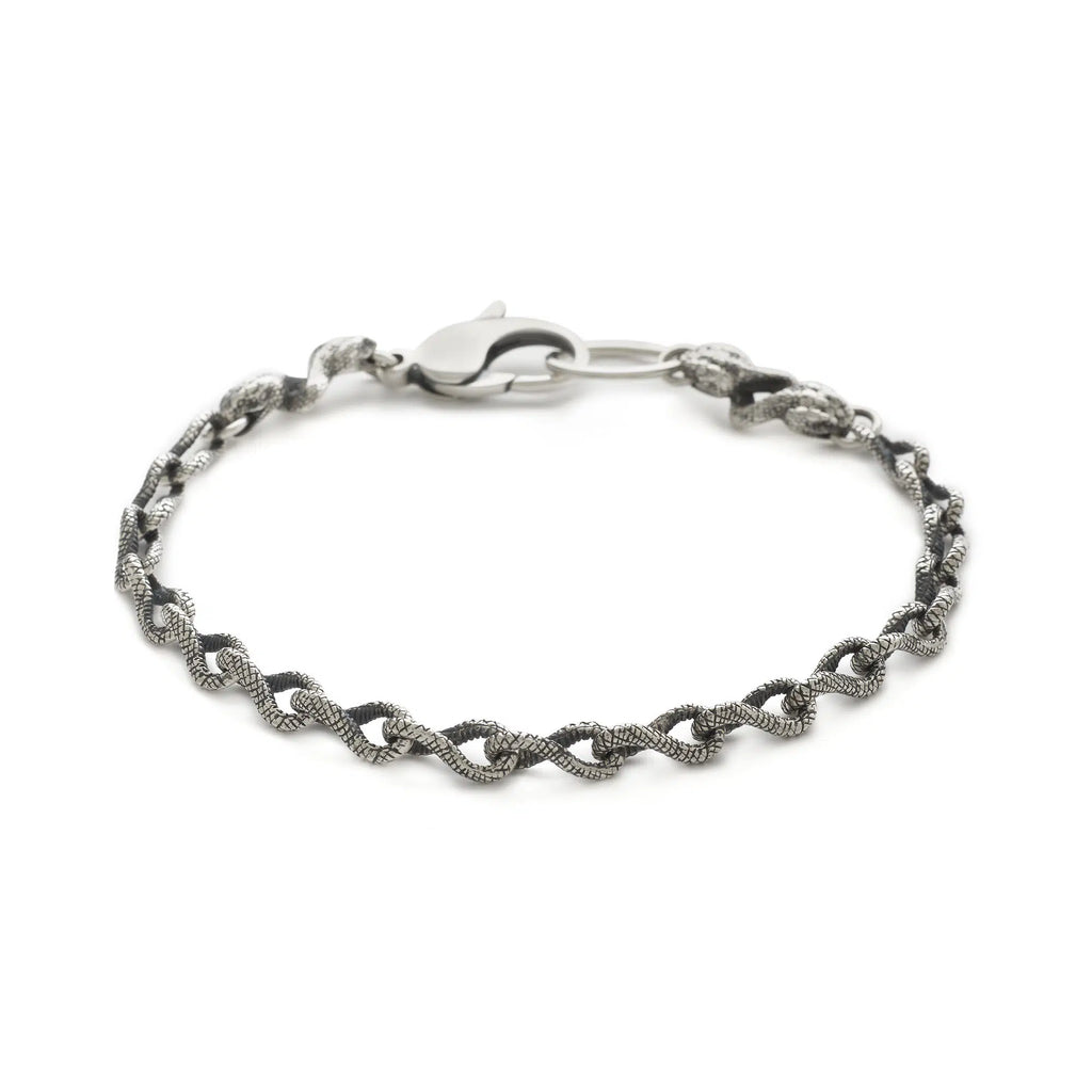 Snake Link Wallet Chain